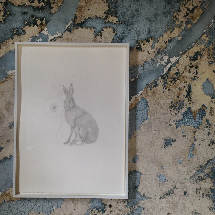 Valerie Hammond — Littlejohn Contemporary